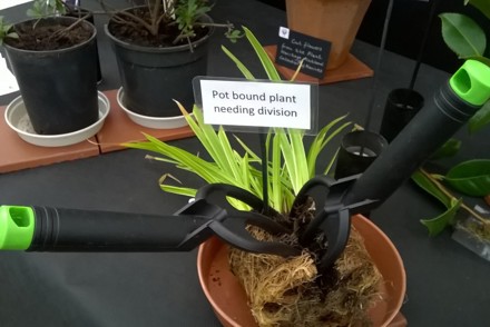 <p>Our display on <strong>Propagation Methods</strong> generated a lot of interest.</p>