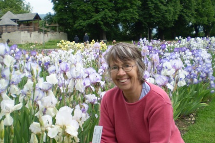 <p>Sarah Cook &amp; <em>Iris</em> 'Benton Opal'</p>