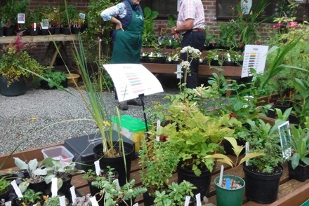 <p>Group Members prepare for Annual Plant Sale at Holehird Gardens</p>