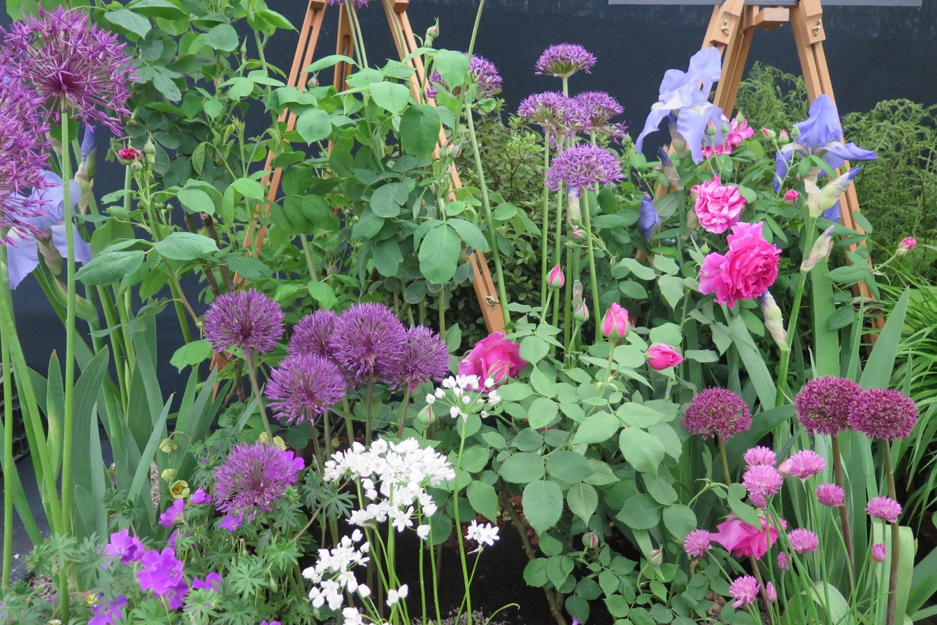 Summer garden