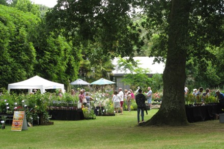 <p>Dorset Plant Fair</p>