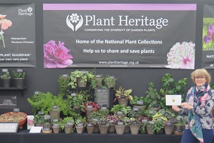 Plant Heritage was honoured to receive a Gold medal for their educational display at the RHS Chatsworth Show 2019.