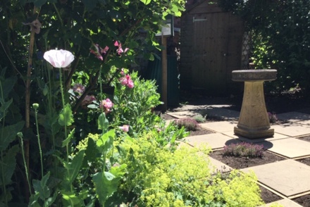 Dr Darwin’s Medicine Chest at Erasmus Darwin House Herb Garden and 8 New Collections awarded