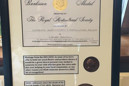 2020 RHS Banksian Medal