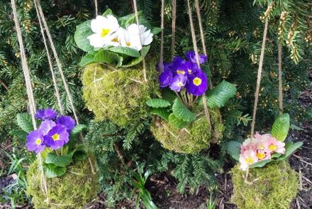 3 Surrey Drive-Side Plant Sales - Now Open