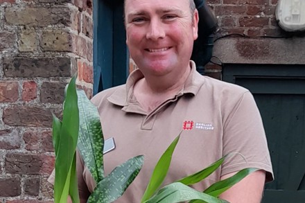 Philip Ostenbrink with Aspidistra 'Irish Mist'