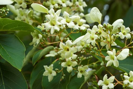 News from Sussex Group President, Mrs Eleni Stephenson Clarke