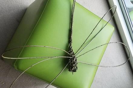 Claire Davitt Willow Dragonfly
