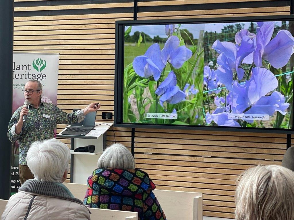 David talk about Roger Parsons' Lathyrus Collection