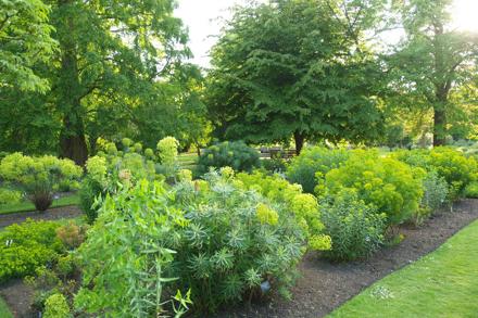 National Euphorbia Collection Walled Garden OBG