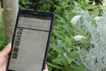 Volunteers helping to safeguard rare garden plant information 