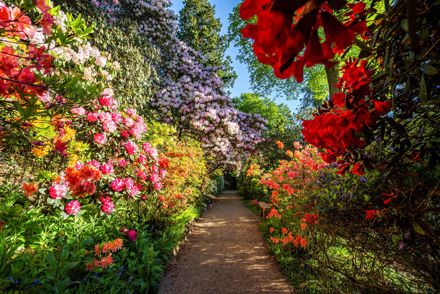 Two historic estates are awarded for bringing historic plants back to life 