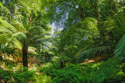 CF 52 Canonteign Falls Cc Emma Solley