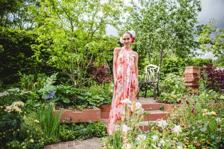 Missing Collector Garden Sophie Claire Gardens 186