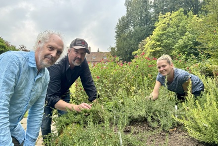 National Plant Collection of rosemary finds its new home at Great Comp, thanks to salvia expert