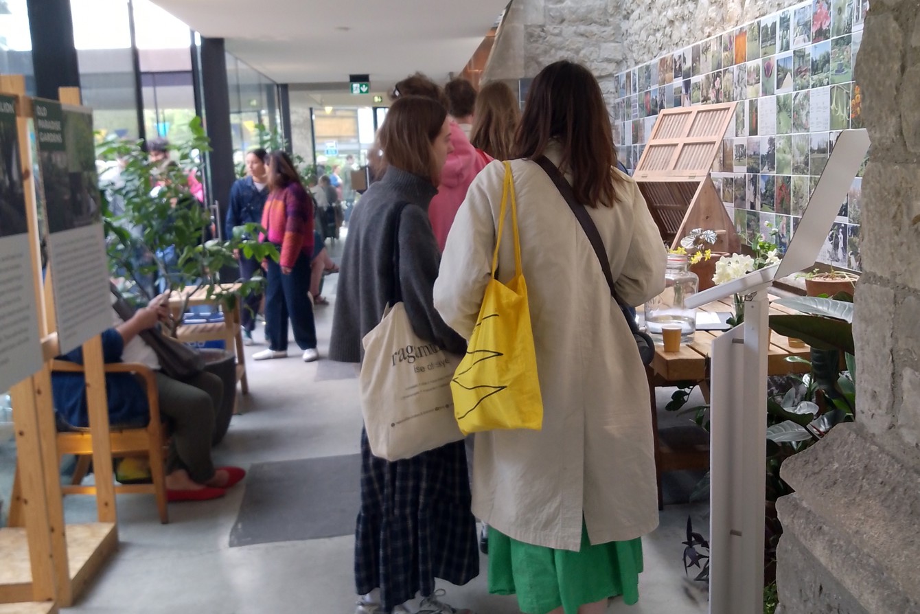 IMG 20250413 141239~2