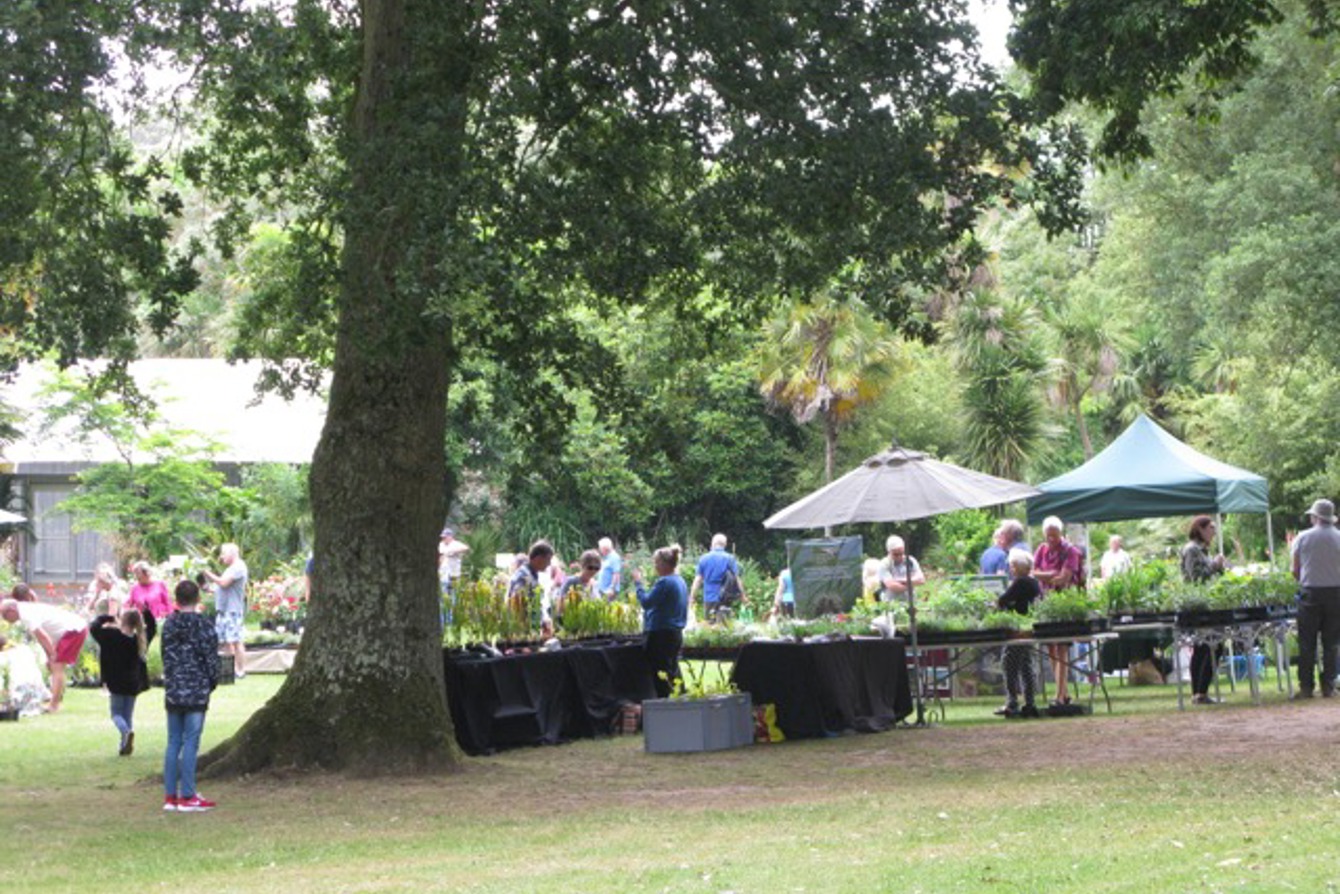 Dorset Plant Fair At Abbotsbury July 2018 A