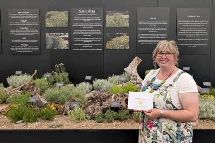 Jess Dighton of Botanica Collections Ltd - with her first time display of the National Plant Collection of Santolina