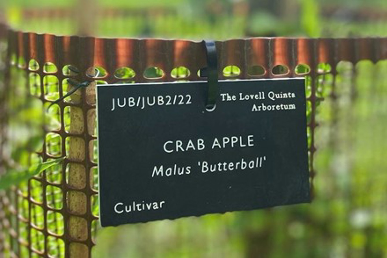 Winterling Botanical Labels