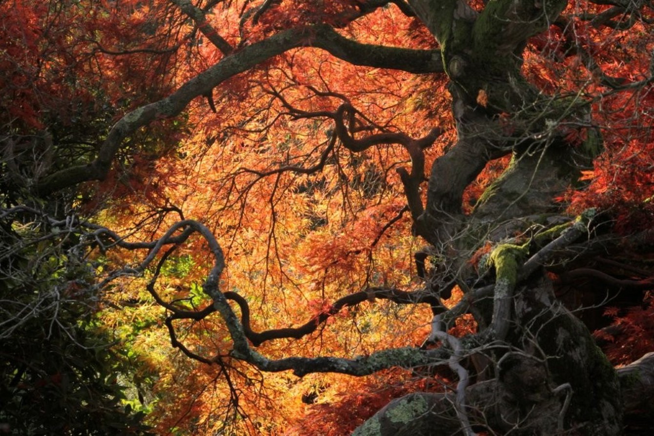 October