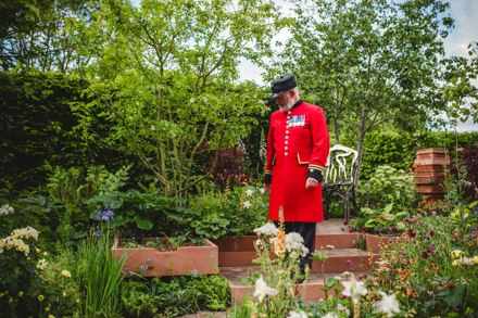 Missing Collector Garden Sophie Claire Gardens 94