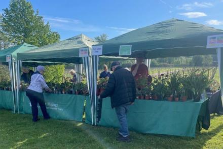 Denbies May 2024 2 - Set up