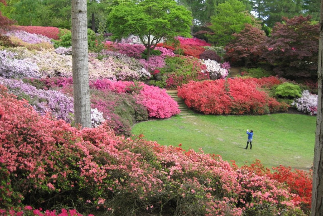 Cherrill Sands - Virginia Water