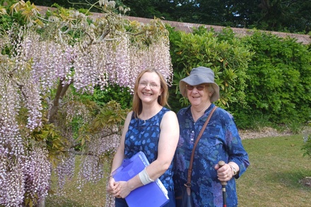 Wisteria Collection 2025