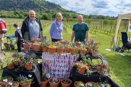 Denbies May 2024 Neil Miller, Jane Sutton and Paul Cooper