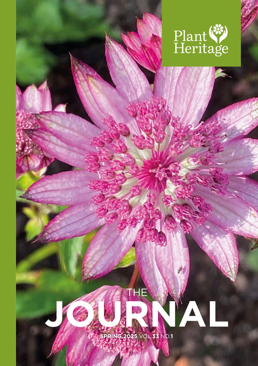 Plant Heritage Spring Journal 2025 Front Cover