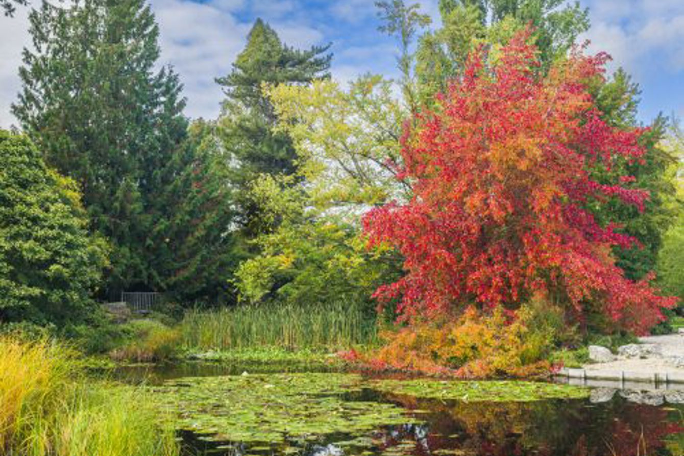 Cambridge Botanic Garden