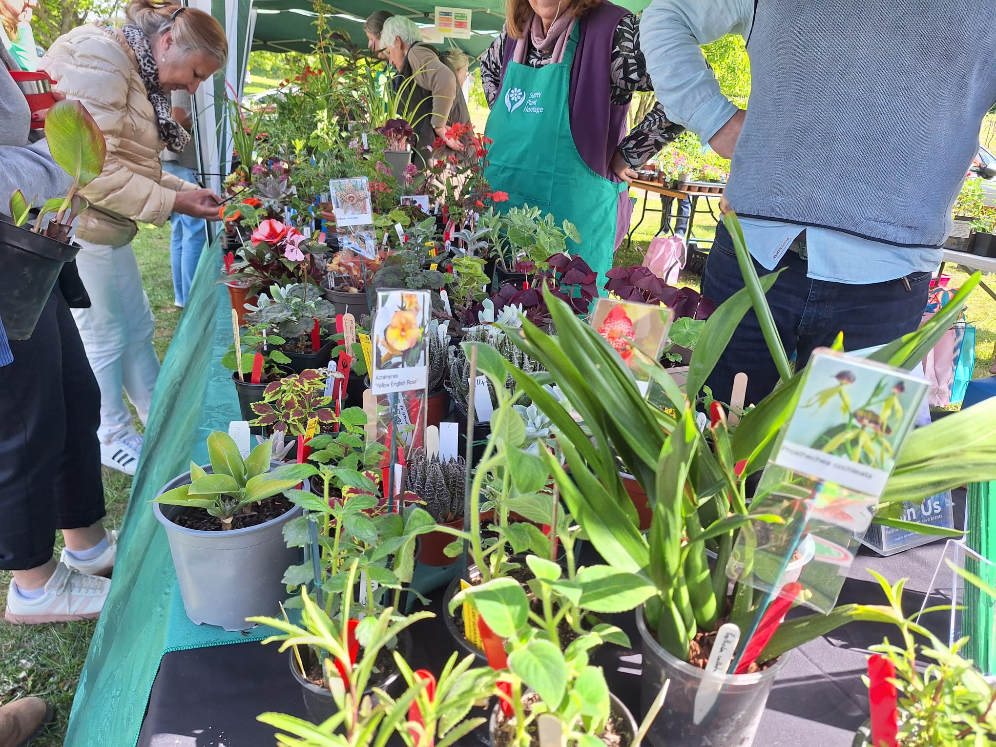 Our stall at Denbies 2025