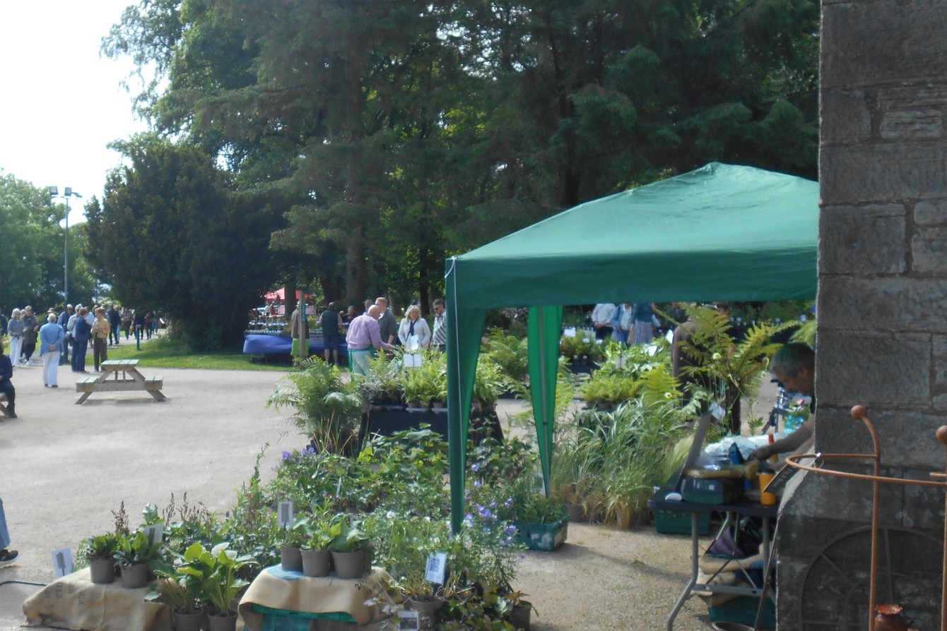 Summer Plant Fair
