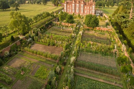 Helmingham Hall and Gardens