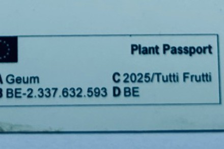 How to decipher a plant passport label