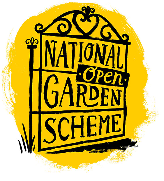 NGS Yellow