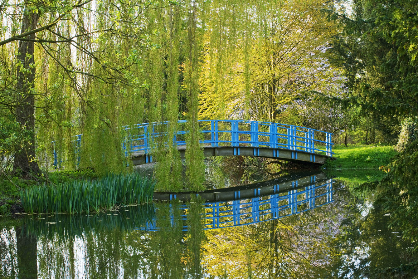 Medieval Fish Ponds Blue Bridge