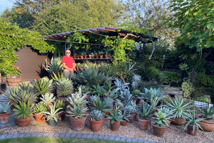 <p>Ian Scott with his National Plant Collection Of <em>Agave</em></p>