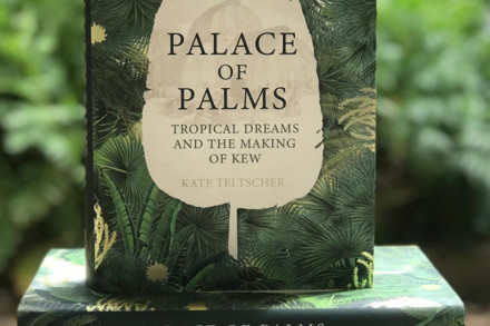 Palace of Palms