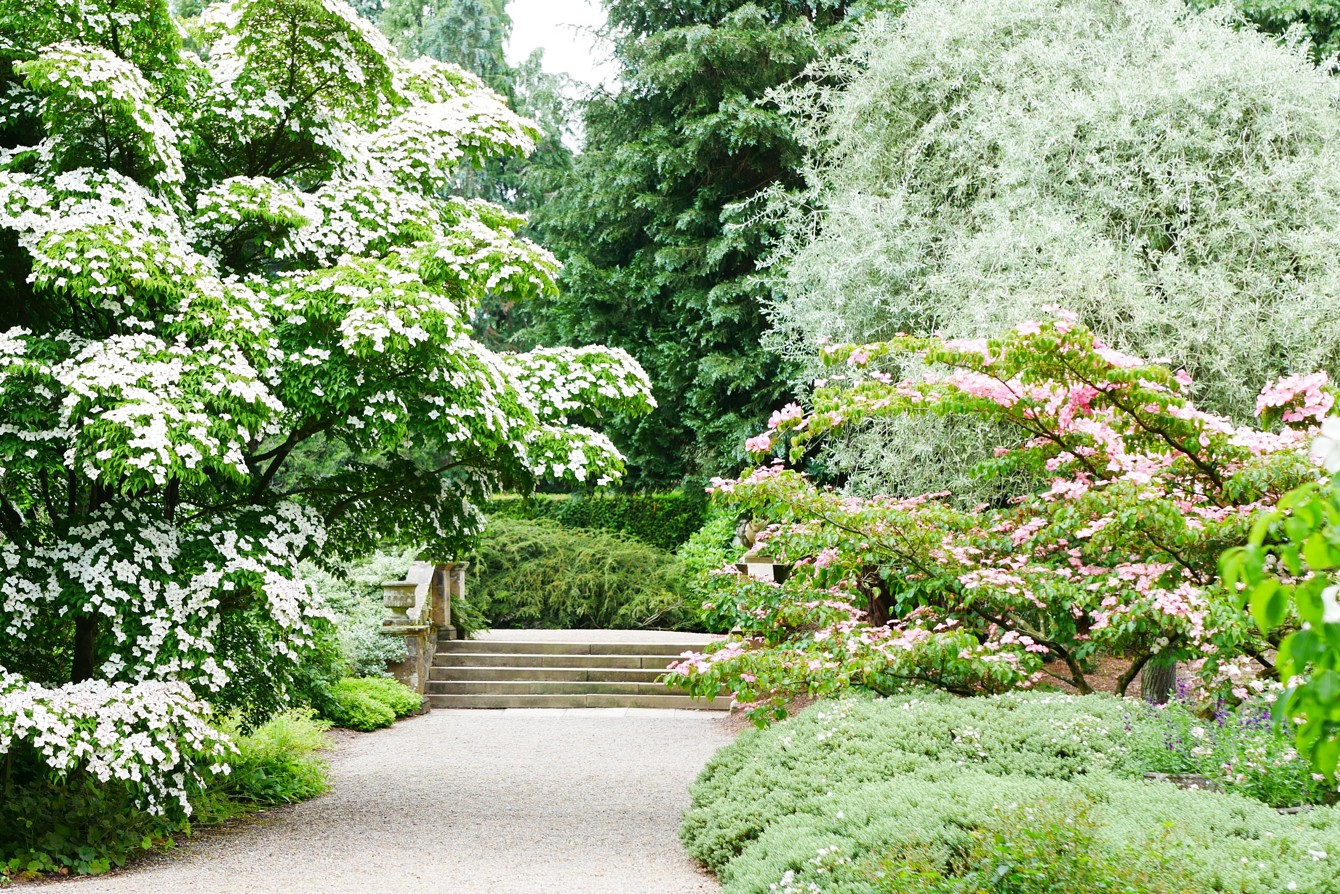 Cornus Cc Newby Hall 3.2 L Cmd