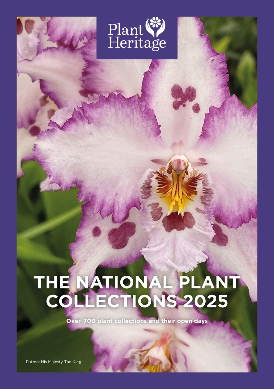 Directory 2025 Final Front Cover Web