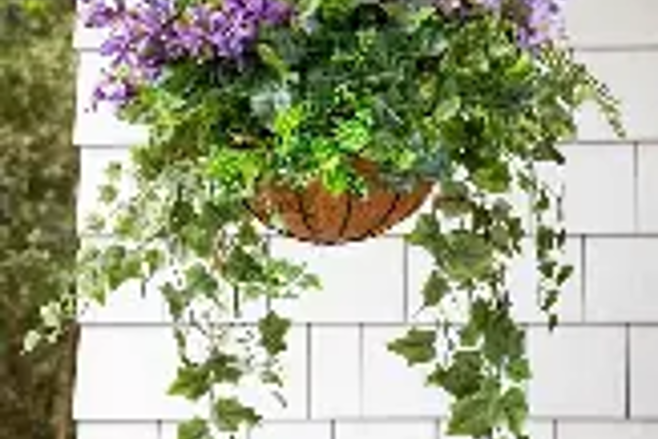 Hanging Basket
