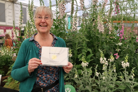 Mary Baker with her National Plant Collection of Digitalis