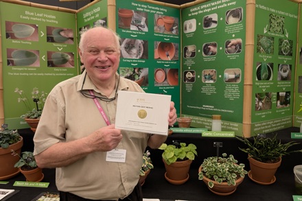 Jonathan Hogarth with his education display of Hosta (minature and small)