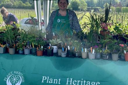 Denbies May 24 Claire Davitt